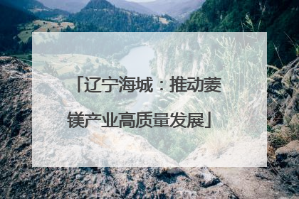 辽宁海城：推动菱镁产业高质量发展
