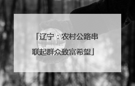 辽宁：农村公路串联起群众致富希望