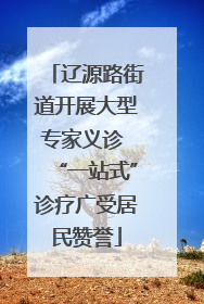 辽源路街道开展大型专家义诊 “一站式”诊疗广受居民赞誉