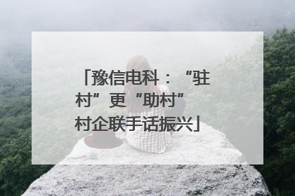 豫信电科：“驻村”更“助村” 村企联手话振兴