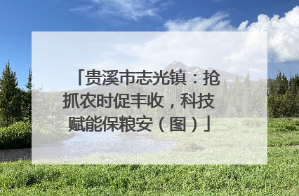 贵溪市志光镇：抢抓农时促丰收，科技赋能保粮安（图）
