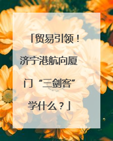 贸易引领！济宁港航向厦门“三剑客”学什么？