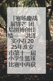 赛场鏖战展锋芒 团结拼搏创佳绩——洪泽实小在2025年淮安市第十一届小学生篮球比赛中再获佳绩