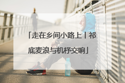 走在乡间小路上丨祁底麦浪与机杼交响