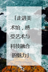 走进美术馆，感受艺术与科技融合的魅力