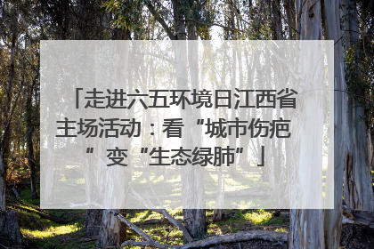 走进六五环境日江西省主场活动：看“城市伤疤”变“生态绿肺”