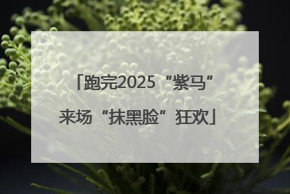 跑完2025“紫马” 来场“抹黑脸”狂欢