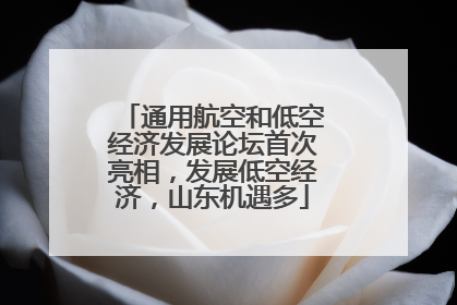 通用航空和低空经济发展论坛首次亮相，发展低空经济，山东机遇多