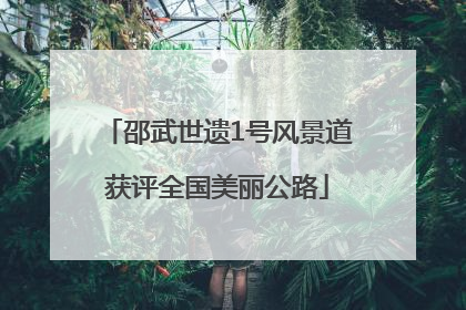 邵武世遗1号风景道获评全国美丽公路