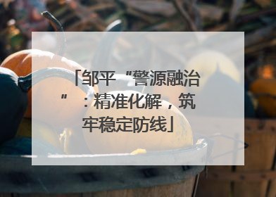 邹平“警源融治”：精准化解，筑牢稳定防线