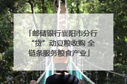 邮储银行襄阳市分行“贷”动夏粮收购 全链条服务粮食产业