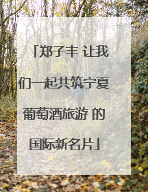 郑子丰 让我们一起共筑宁夏葡萄酒旅游 的国际新名片