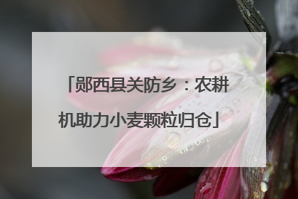 郧西县关防乡：农耕机助力小麦颗粒归仓