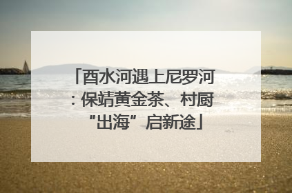 酉水河遇上尼罗河：保靖黄金茶、村厨“出海”启新途