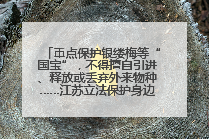 重点保护银缕梅等“国宝”，不得擅自引进、释放或丢弃外来物种……江苏立法保护身边的生物“朋友圈”