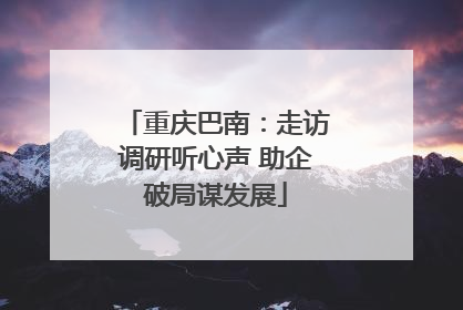 重庆巴南：走访调研听心声 助企破局谋发展