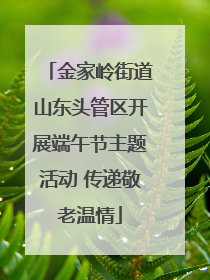 金家岭街道山东头管区开展端午节主题活动 传递敬老温情