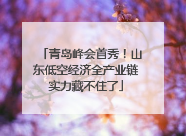 青岛峰会首秀！山东低空经济全产业链实力藏不住了