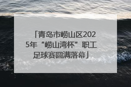 青岛市崂山区2025年“崂山湾杯”职工足球赛圆满落幕
