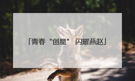 青春“创星” 闪耀燕赵