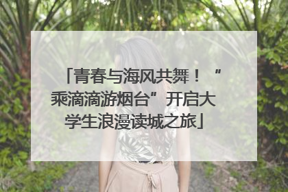 青春与海风共舞！“乘滴滴游烟台”开启大学生浪漫读城之旅