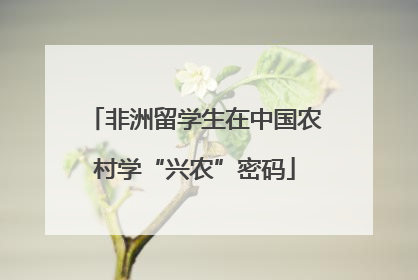 非洲留学生在中国农村学“兴农”密码