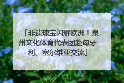 非遗瑰宝闪耀欧洲！泉州文化体育代表团赴匈牙利、塞尔维亚交流