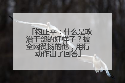 钧正平：什么是政治干部的好样子？被全网赞扬的他，用行动作出了回答