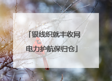 银线织就丰收网 电力护航保归仓
