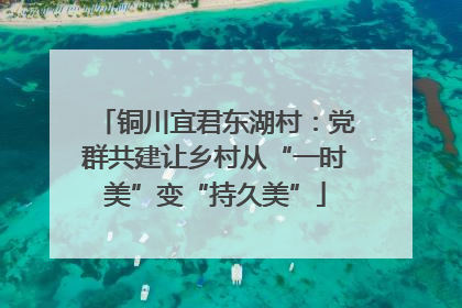 铜川宜君东湖村：党群共建让乡村从“一时美”变“持久美”