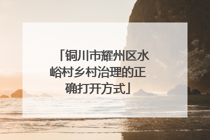 铜川市耀州区水峪村乡村治理的正确打开方式