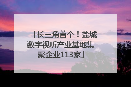 长三角首个！盐城数字视听产业基地集聚企业113家