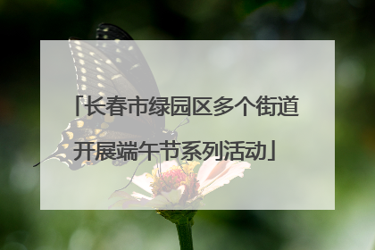 长春市绿园区多个街道开展端午节系列活动