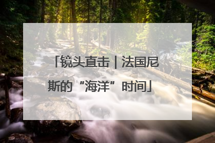 镜头直击｜法国尼斯的“海洋”时间