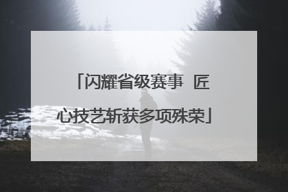 闪耀省级赛事  匠心技艺斩获多项殊荣