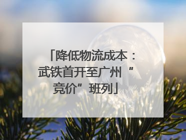 降低物流成本：武铁首开至广州“竞价”班列