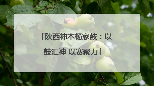 陕西神木杨家鼓：以鼓汇神 以赛聚力