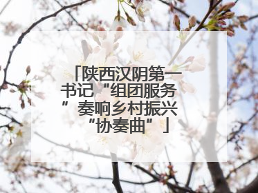 陕西汉阴第一书记“组团服务”奏响乡村振兴“协奏曲”