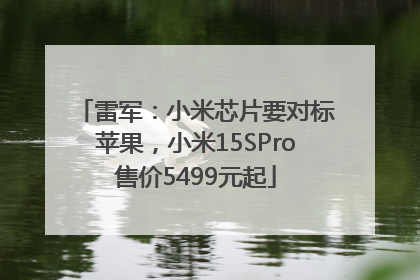 雷军：小米芯片要对标苹果，小米15SPro售价5499元起