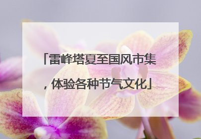 雷峰塔夏至国风市集，体验各种节气文化