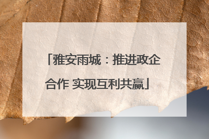 雅安雨城：推进政企合作 实现互利共赢