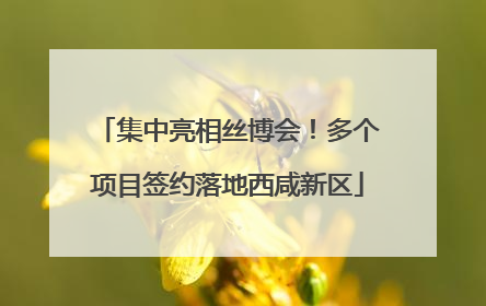 集中亮相丝博会！多个项目签约落地西咸新区