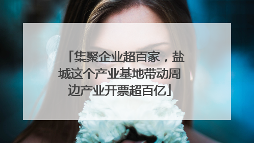 集聚企业超百家，盐城这个产业基地带动周边产业开票超百亿