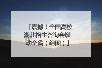 震撼！全国高校湖北招生咨询会燃动全省（组图）
