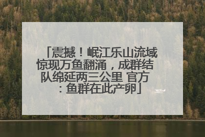 震撼！岷江乐山流域惊现万鱼翻涌，成群结队绵延两三公里 官方：鱼群在此产卵