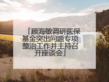 顾海敏调研医保基金突出问题专项整治工作并主持召开座谈会