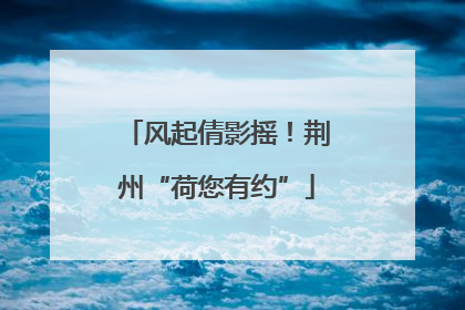 风起倩影摇！荆州“荷您有约”