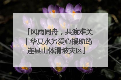 风雨同舟，共渡难关｜华夏水务爱心援助筠连县山体滑坡灾区