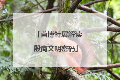 首博特展解读殷商文明密码