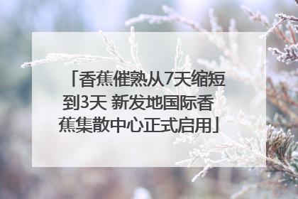 香蕉催熟从7天缩短到3天 新发地国际香蕉集散中心正式启用